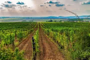 Maďarsko - pôvaby krajiny a Tokaj