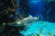Tropikárium a ZOO Budapešť