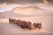 Mongolsko - Tri poklady Gobi a sviatok Naadan