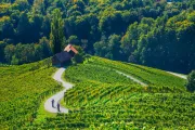 Slovinská pohoda - víno, wellness a zámky