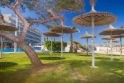 Eix Platja Daurada