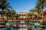 One and Only the Palm