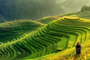 Vietnam – Veľká cesta krajinou draka